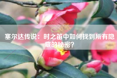 塞尔达传说：时之笛中如何找到所有隐藏的秘密？