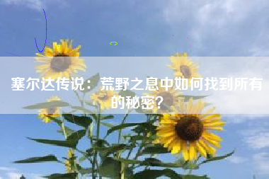 塞尔达传说：荒野之息中如何找到所有的秘密？