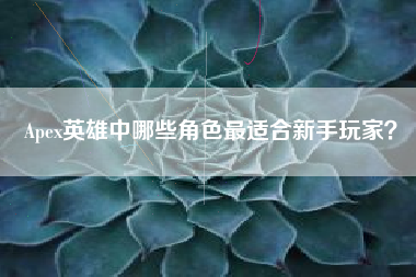 Apex英雄中哪些角色最适合新手玩家？