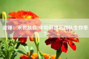 战锤：末世鼠疫2中如何提高团队生存率？