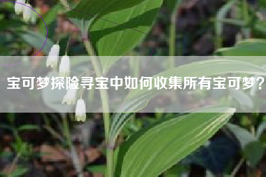 宝可梦探险寻宝中如何收集所有宝可梦？