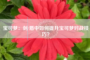 宝可梦：剑/盾中如何提升宝可梦对战技巧？