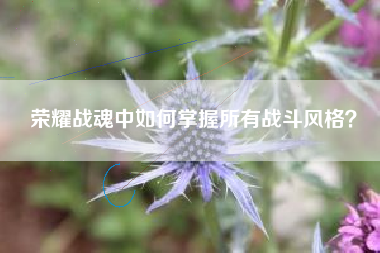 荣耀战魂中如何掌握所有战斗风格？