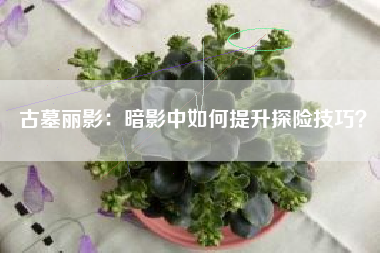 古墓丽影：暗影中如何提升探险技巧？